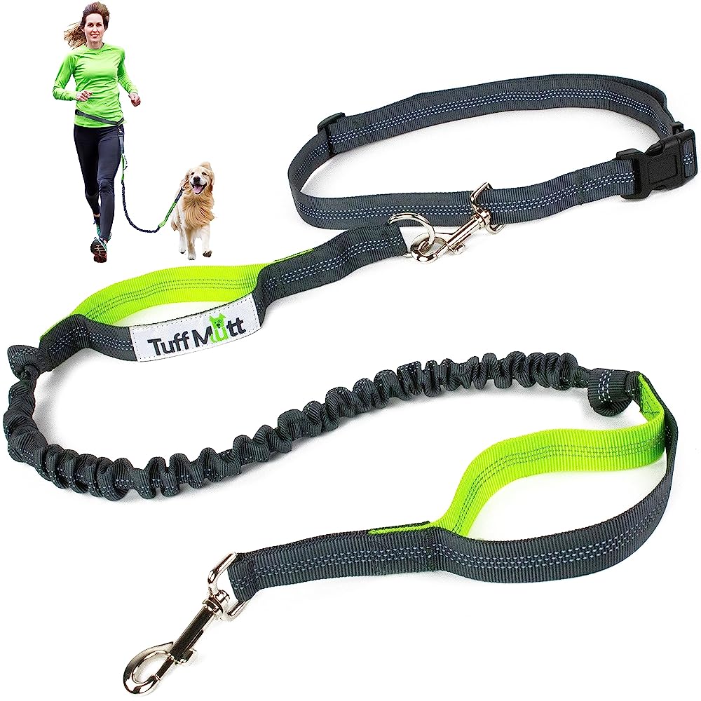 7 Best Hands Free Dog Leashes