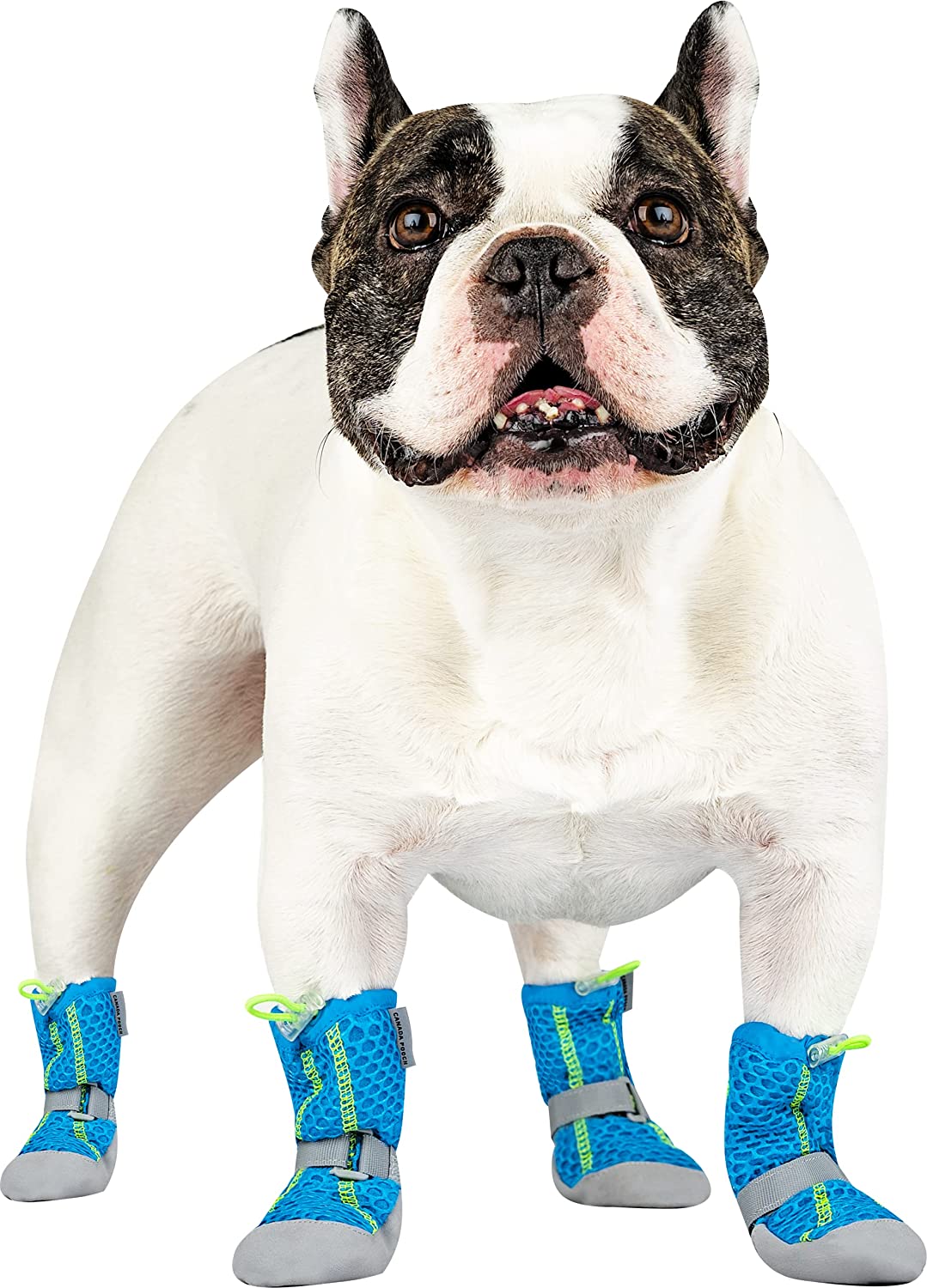 Canada Pooch Dog Boots