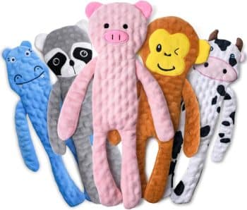 SHARLOVY No Stuffing Dog Toys 5 Pack