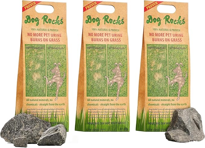5 Best Products to Repair Grass from Dog Urine Spots - iHeartDogs.com