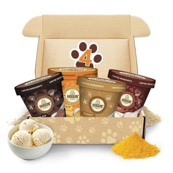 Hoggin Dogs Ice Cream Mix - Just Add Water and Freeze