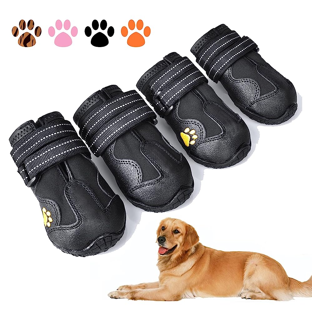 7 Best Crocs For Dogs