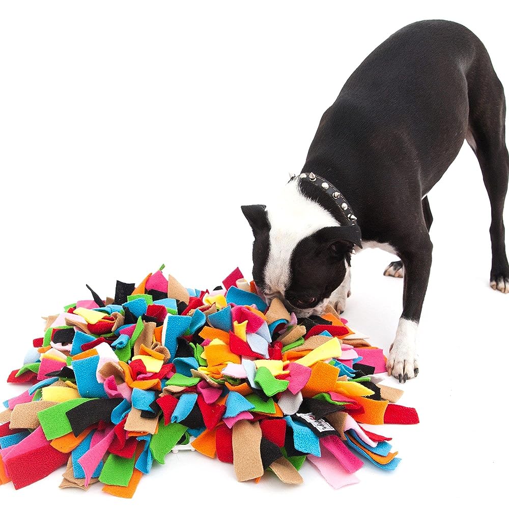 13 Best Nosework Toys for Dogs