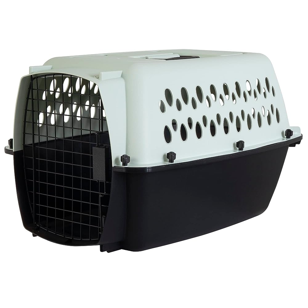 Basics 2-Door Top Load Hard-Sided Dog and Cat Kennel Travel Carrier,  23-Inch 