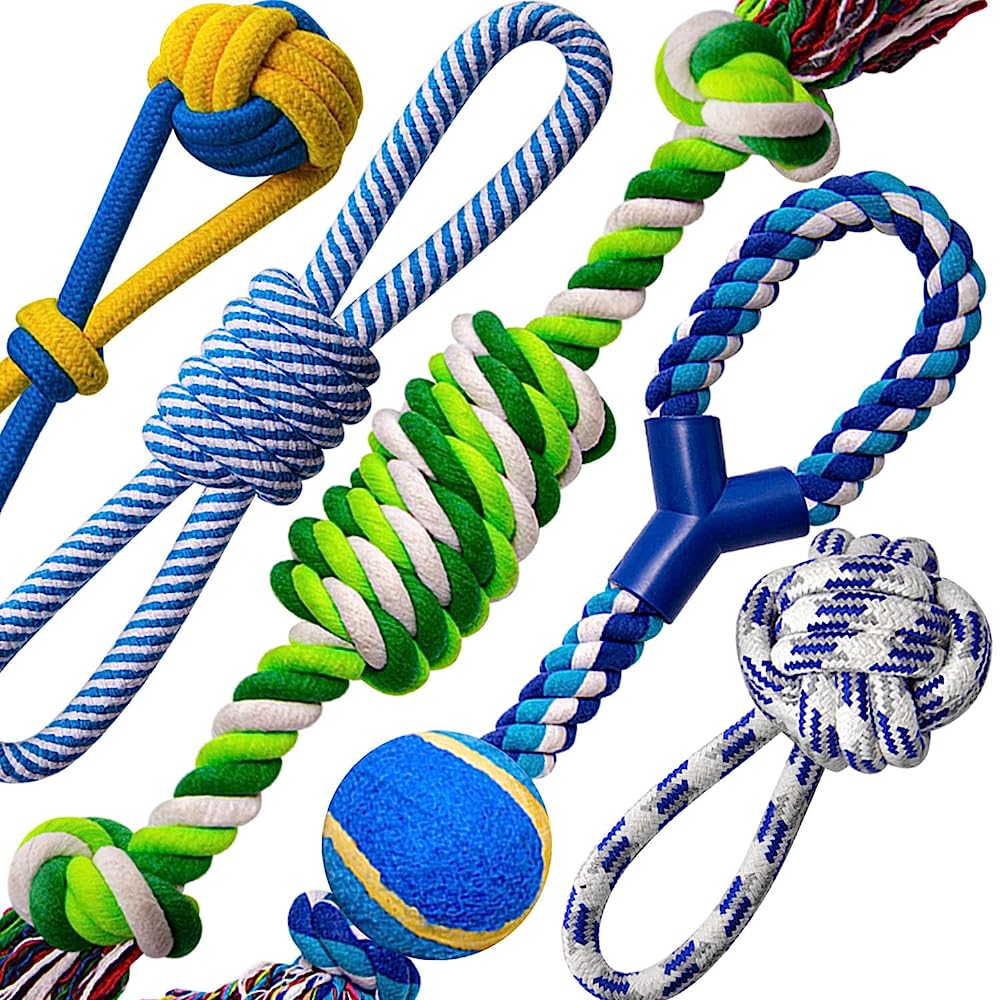 4 Best Tug Toys To Play Tug-Of-War With Your Dog (28+ Tested) - Dog Lab