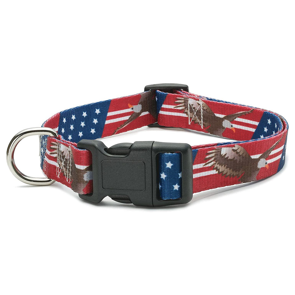 American Flag and Bald Eagle Dog Collar