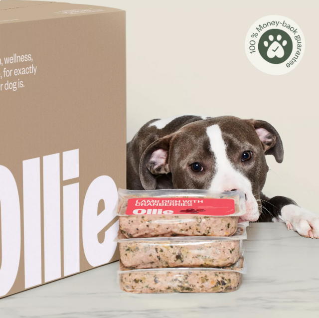 Dog sniffing Ollie packaging
