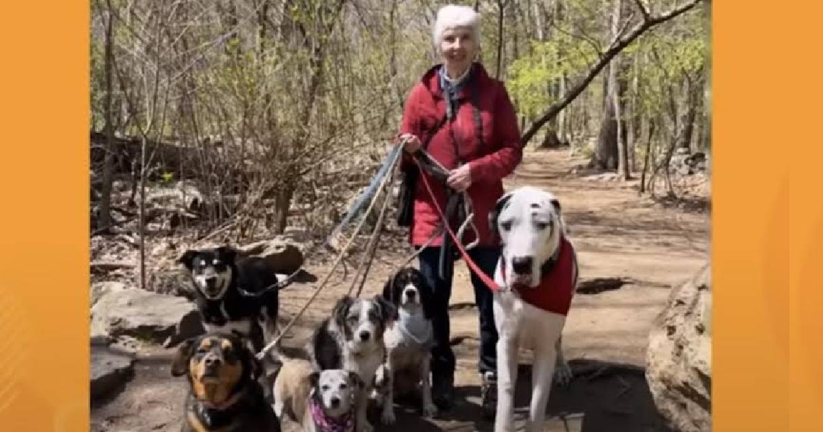 Great Dane Falls In Love With New Grandma While On A Hiking Trail