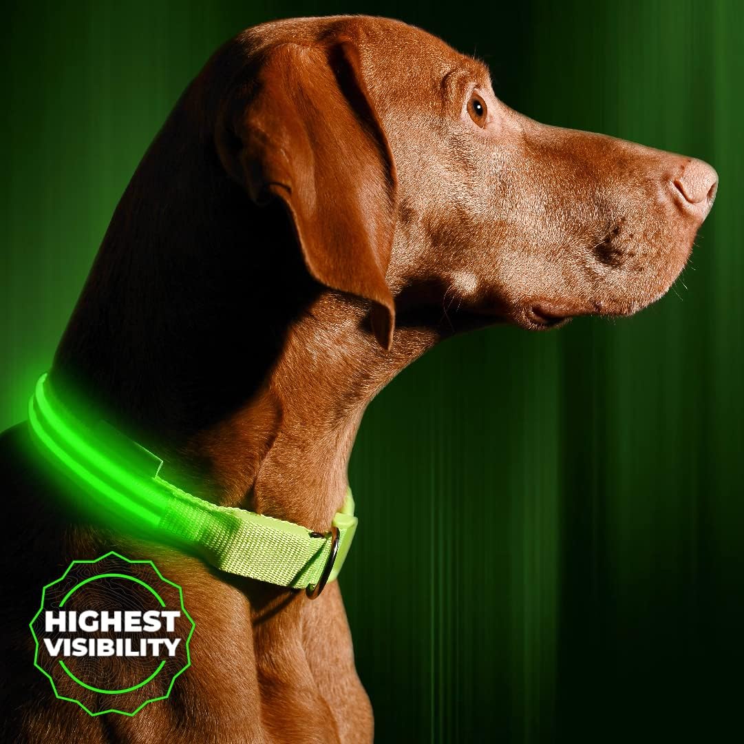 1 Premium Glow Tuff Reflective D Ring Dog Collar with Brass Name Plate | Outdoor Dog Supply