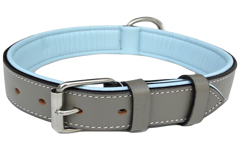 Soft Touch Collars Leather Padded Dog Collar