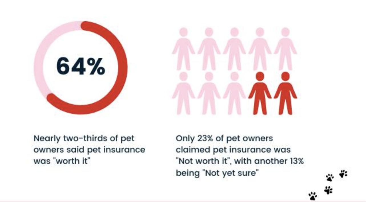 Survey: Two-Thirds of Pet Owners Say 