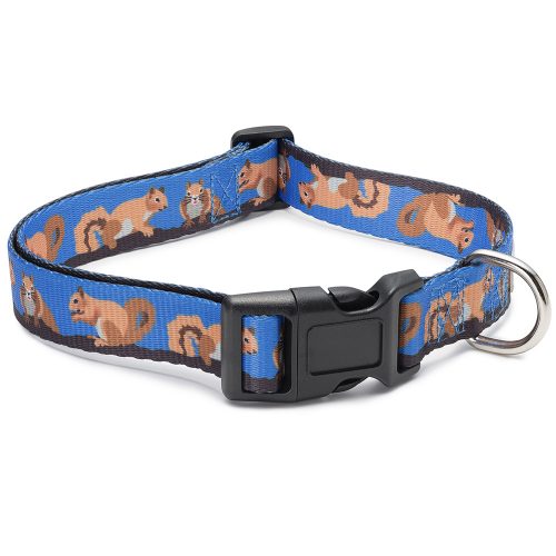 Squirrel Dog Collar