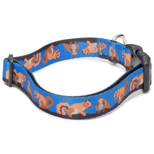 Squirrel Dog Collar