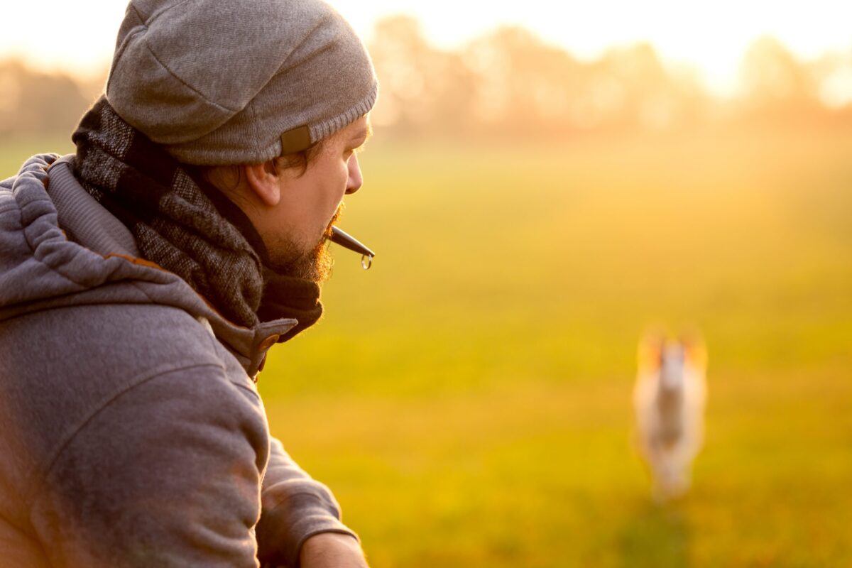 Using dog whistle for training