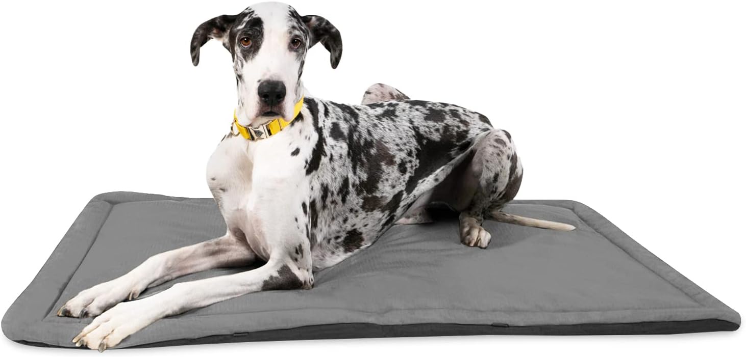  Dog Bed Orthopaedic Dog Bed for Medium and Small Dogs  Waterproof and Non-Slip Removable and Washable Oxford Cloth Base  Comfortable Dog Bed Various Models and Colours : Pet Supplies