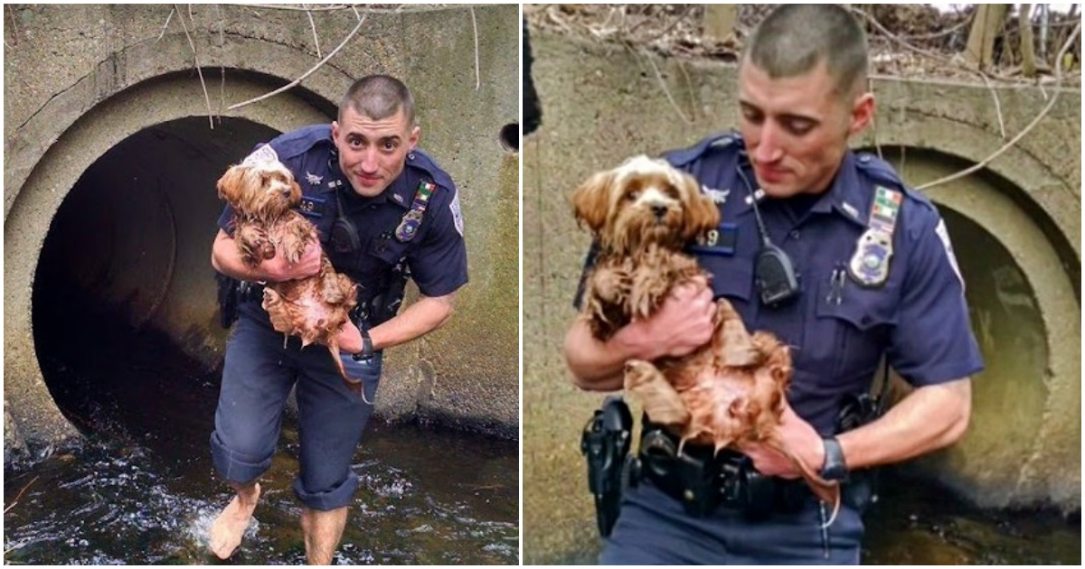 Patrolman Ditched Shoes And Socks To Save Dog Hidden In Deep, Dark Tunnel