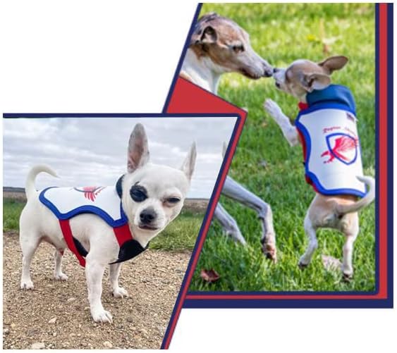 Pet Protection Vests with Spikes Help Protect Small Dogs from