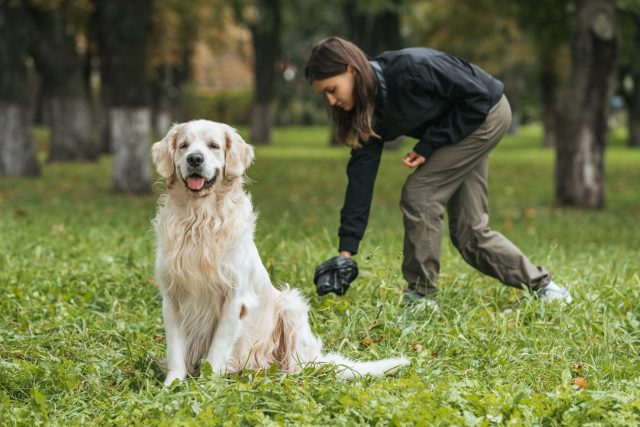 outdoor dog poop trash can