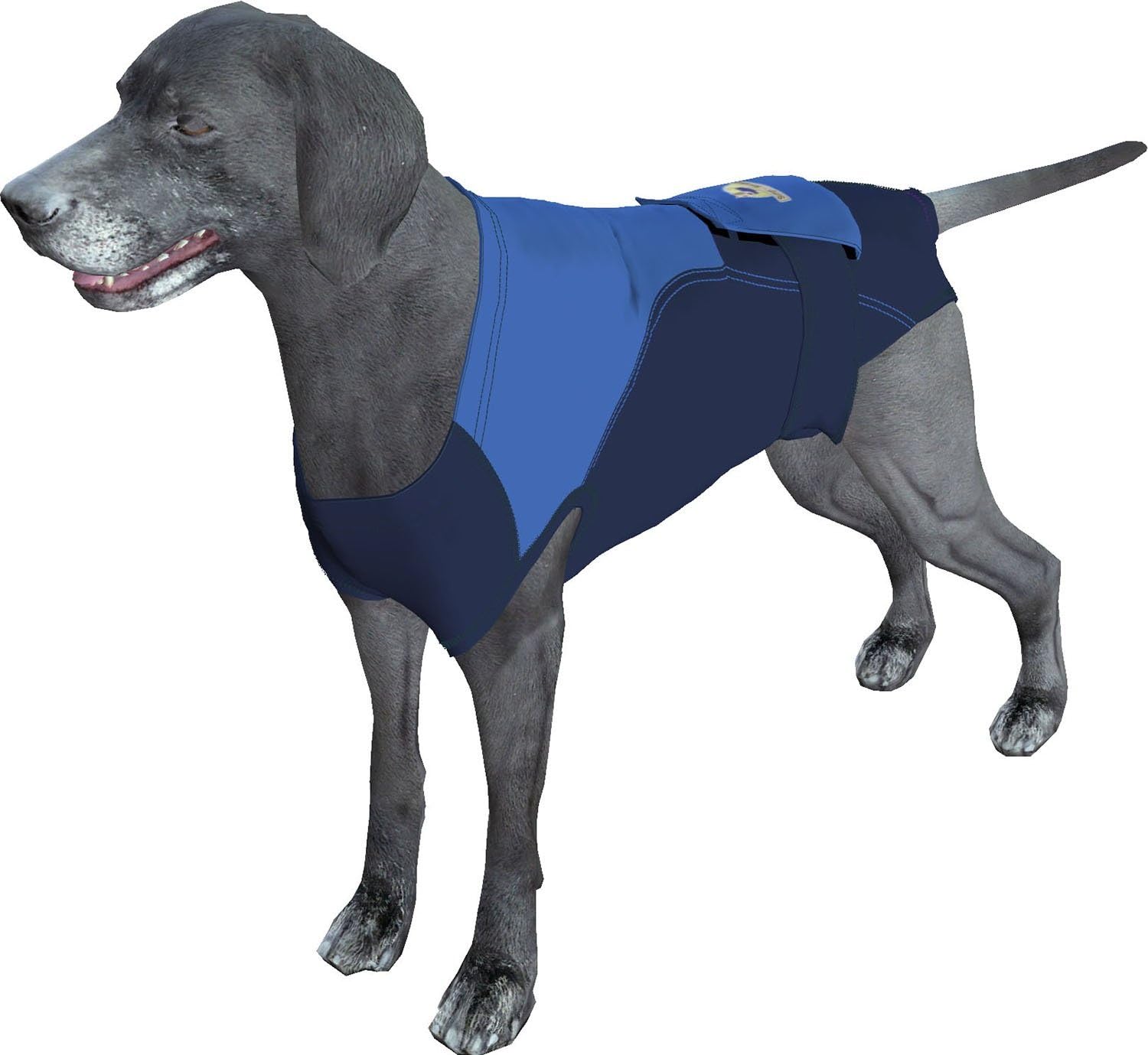 SurgiSnuggly Dog Recovery Surgery Suit