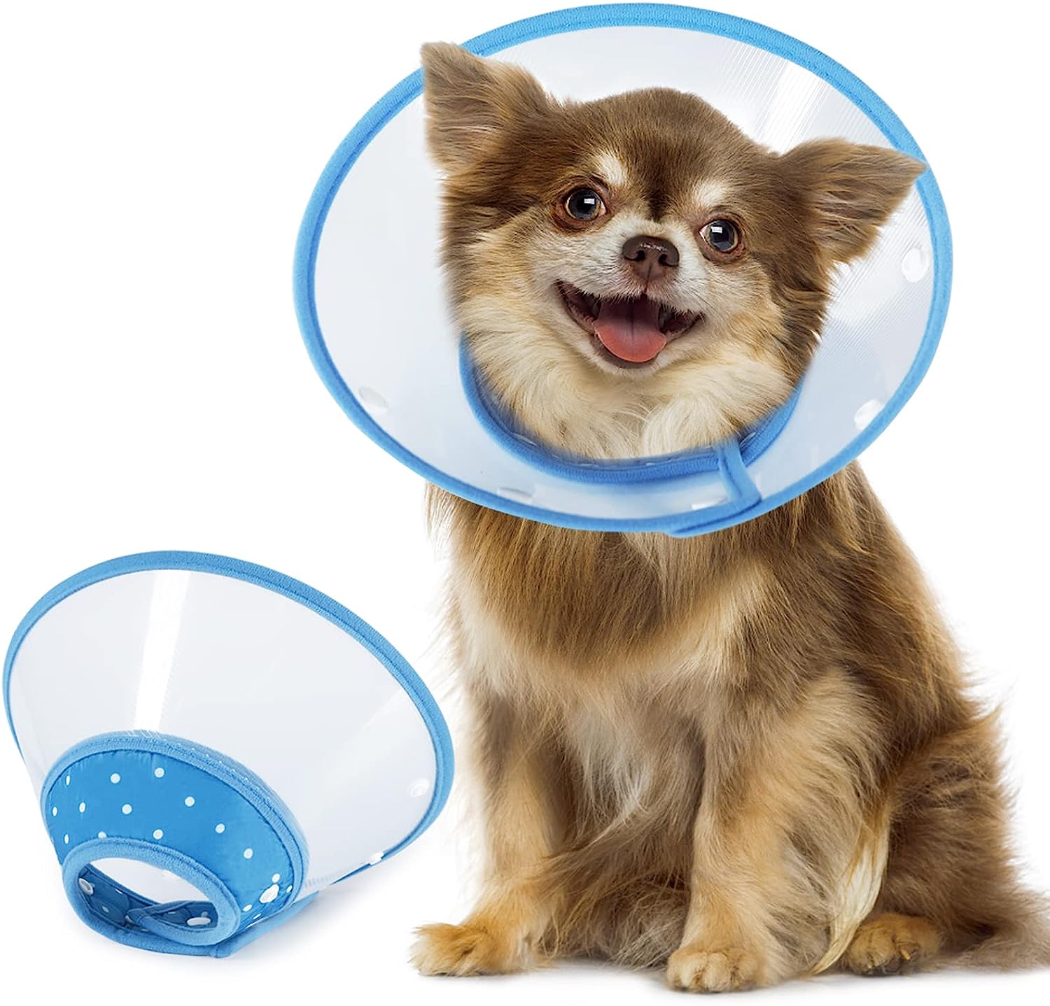 Vivifying Pet Cone for Small Dogs
