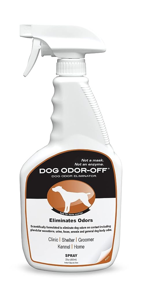 SHOUT Pets Enzymatic Stain & Odor Remover for Carpeting