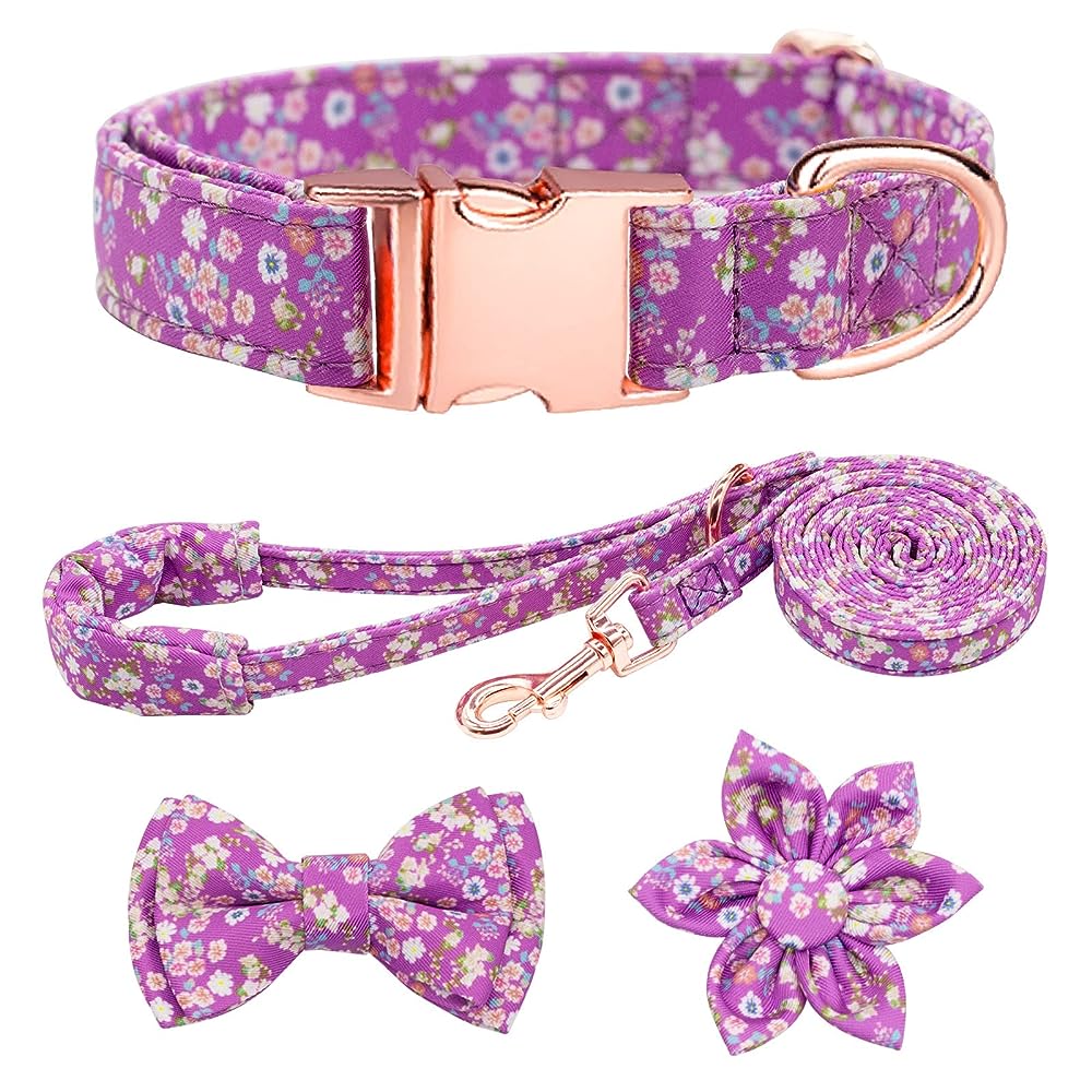 Dog Collar For Small Dogs - Special Design Puppy Collar Cute Small