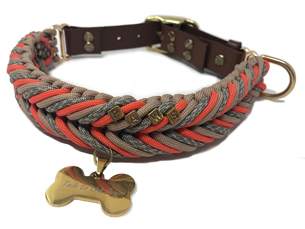 8 Best Paracord Dog Collars