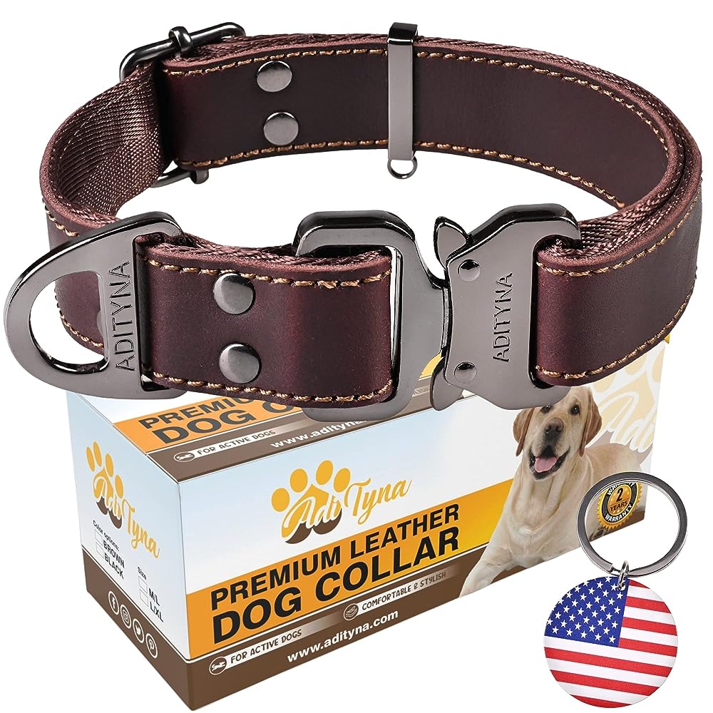1 Tuff Skin D Ring Dog Collar with Brass Name Plate | Outdoor Dog Supply