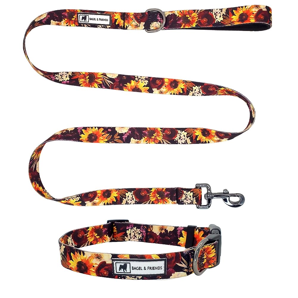Luxury dog monogram collar with matching leash set combo
