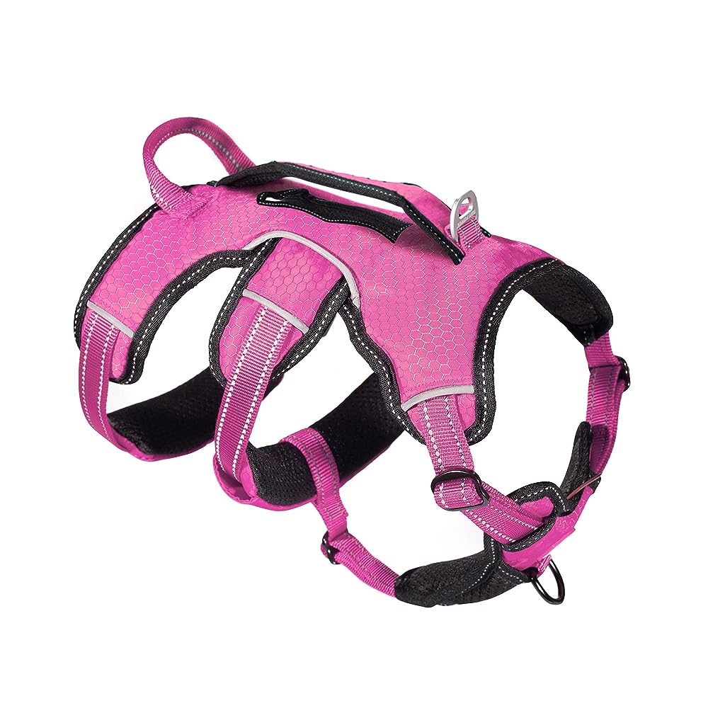11 Best Dog Harnesses with Handles
