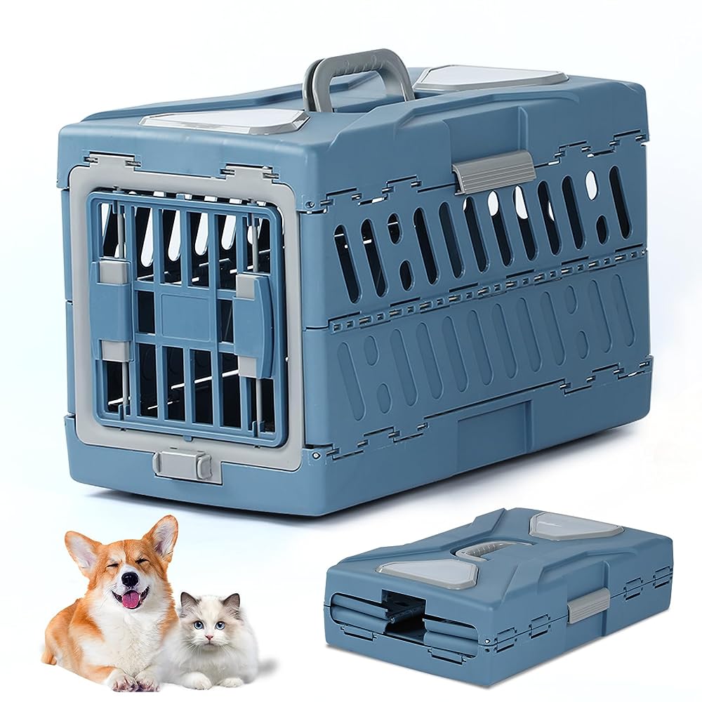 Pettycare 20 Inch Collapsible Dog Crate for Small Dogs, 4-Door Foldable  Soft Dog Kennel with Chew Proof Mesh Windows, Indoor & Outdoor Travel Dog