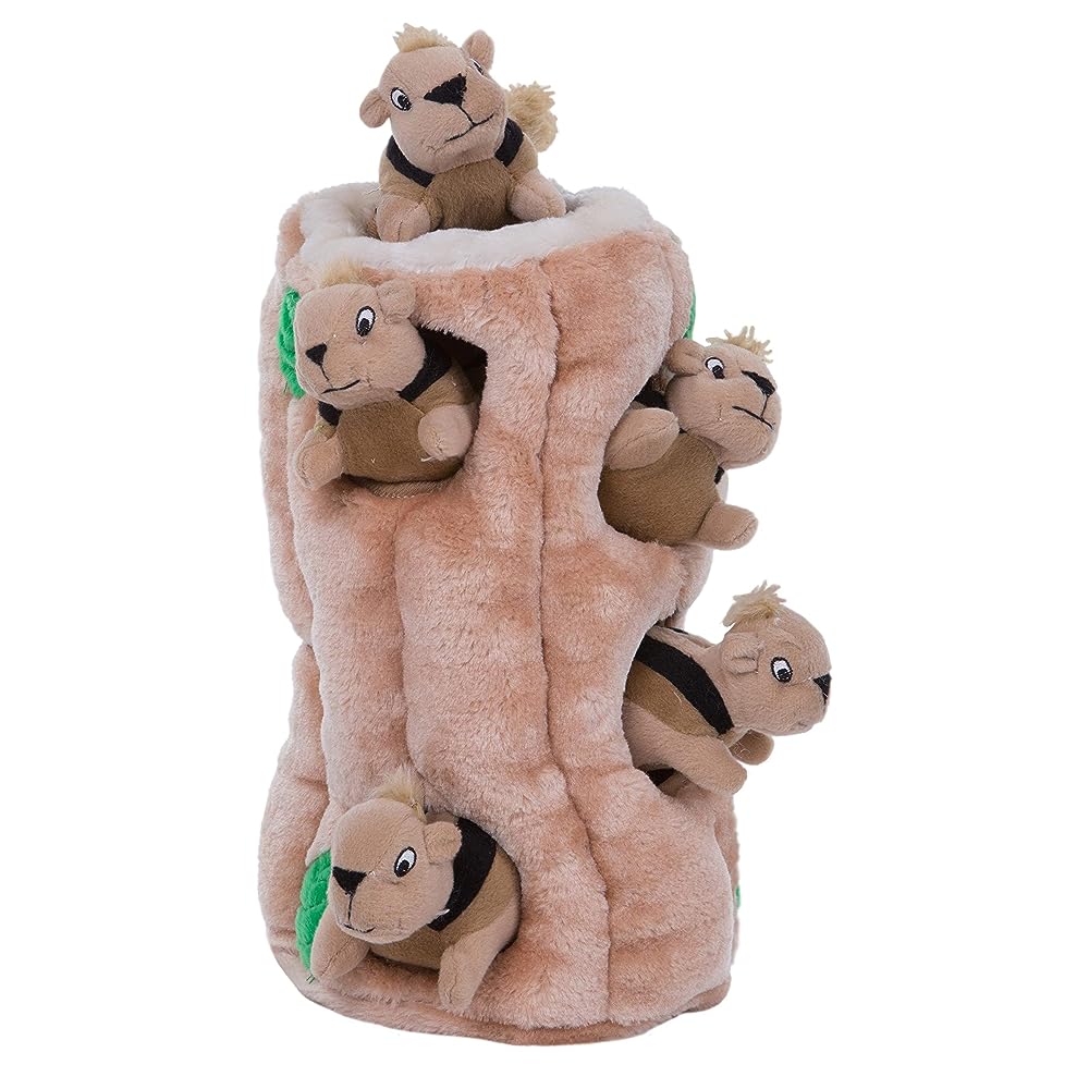 Slide & Search Hide and Seek Paw Dog Toys