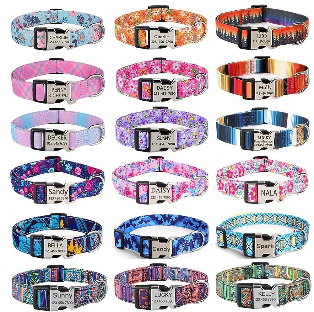 14 Best Personalized Dog Collars 14 Best Personalized Dog Collars