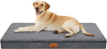 Dog Beds for Large Dogs 