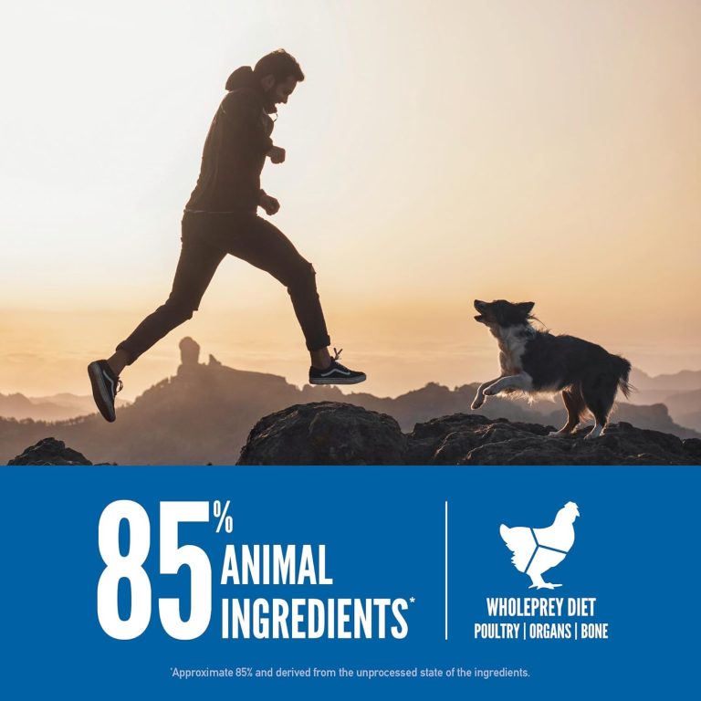 ORIJEN Original Grain-Free Food Review - Read Before You Buy ... - Orijen Grain Free Dog Food