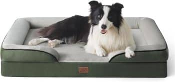 Bedsure Orthopedic Dog Beds Large Sized Dog 