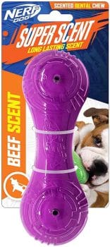 Nerf Dog 7in TPR/PP Scented Beef SuperScent Barbell 