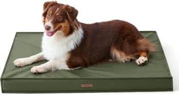 LE SURE Outdoor Waterproof Dog Beds Medium