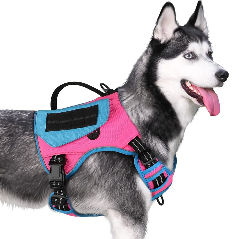 BARKBAY Tactical Harness, Military Service Weighted Dog Vest Harness –  BARKBAY PET