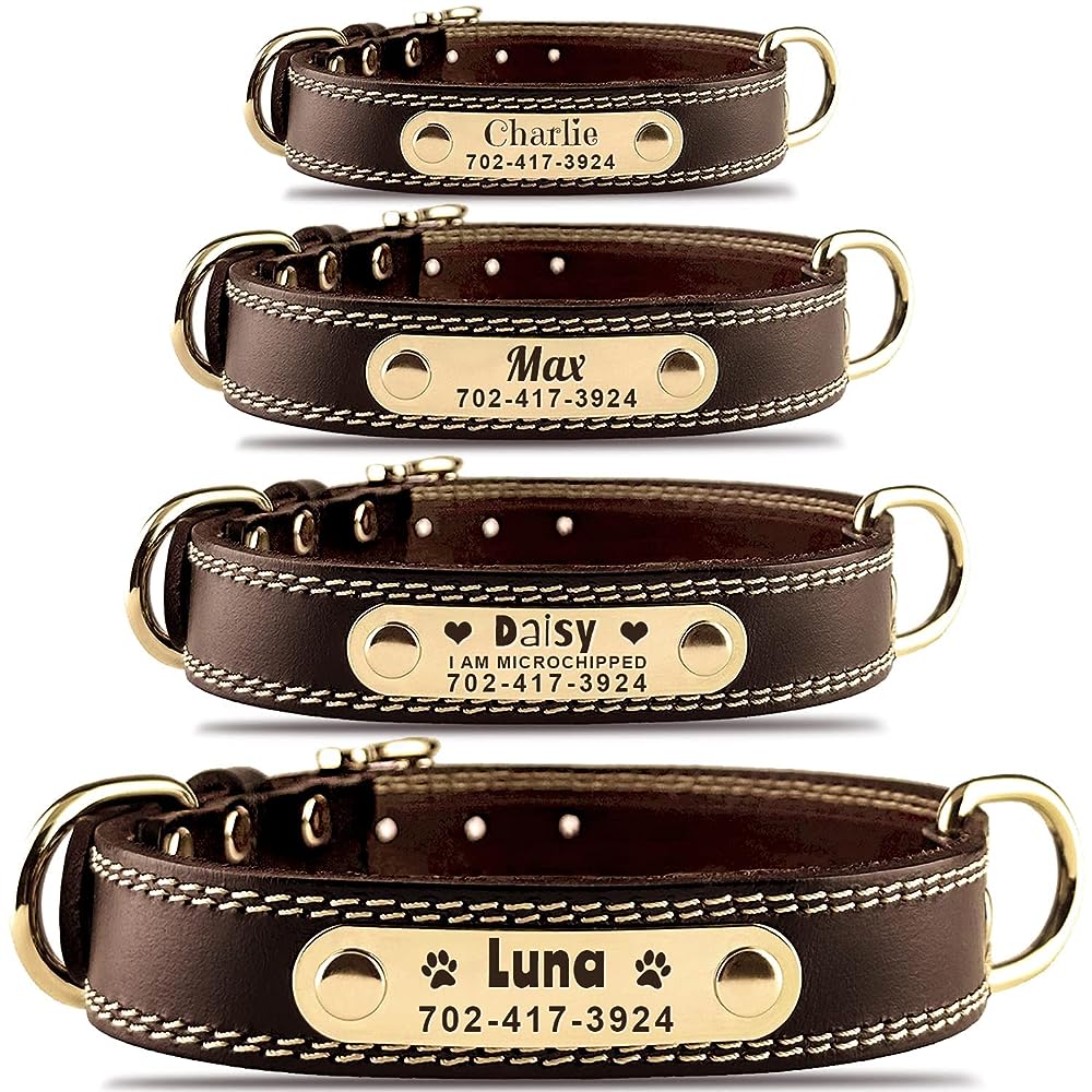 Black Hand Tooled Leather Dog Collar For all Breeds in Different Sizes