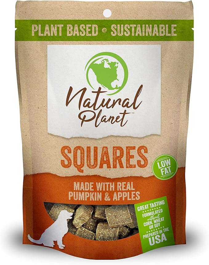 Pumpkin Square Plant Based Dog Treats