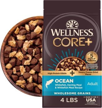 Wellness CORE+ Adult Dry Dog Food with Freeze Dried Pieces