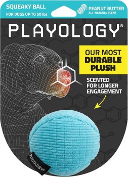 Playology Plush Squeaky Ball
