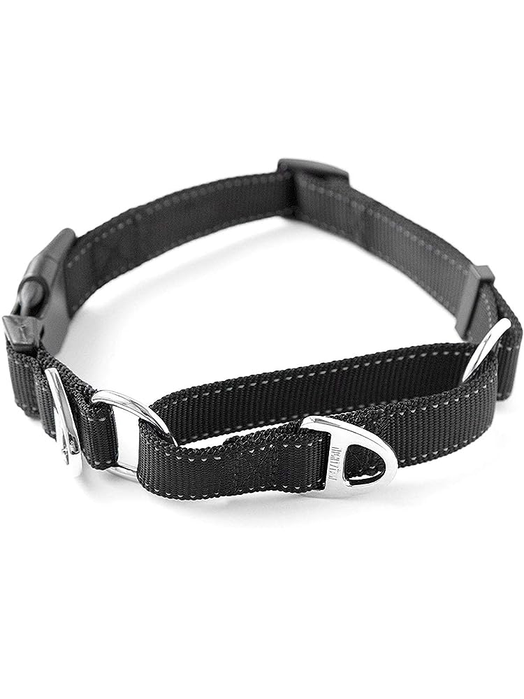 Unlined Furberry Plaid Buckle or Martingale Dog Collar by Dog Star