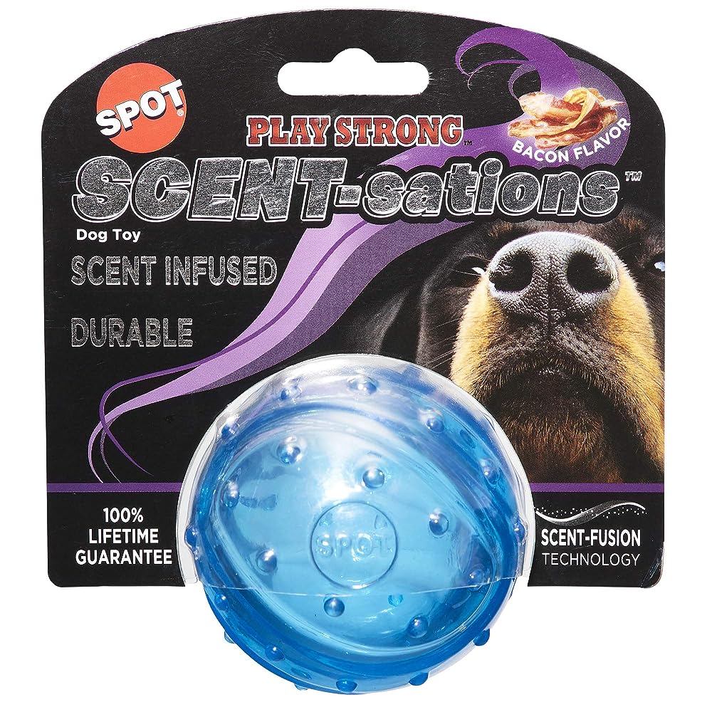 Playology Silver Dental Chew Dog Toy - Peanut Butter - Small
