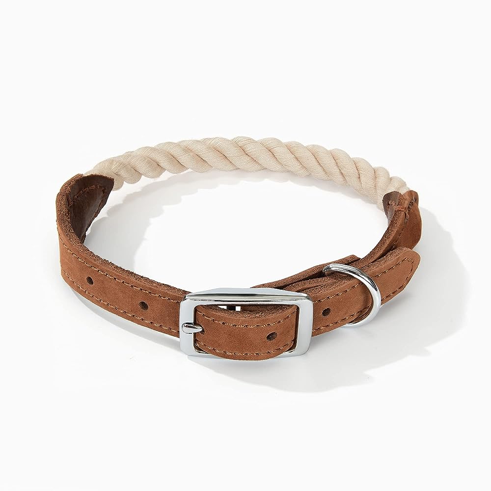 Premium Vintage Leather Dog Collar - For Dog Lovers