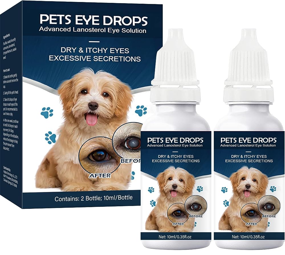 Can-C Eye Drops - Natural Eye Drops - Lubricating Eye Drops with  Antioxidant NAC - Drops for Cataracts - Eye Drops for Dry Eyes - Eye Drops  for Humans
