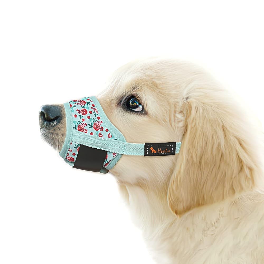 Best dog outlet muzzle for chewing