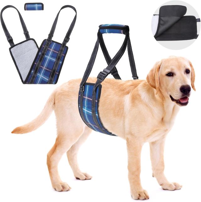 Back leg support harness for dogs best sale