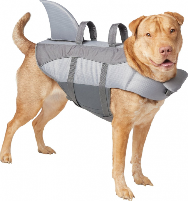 Best Chewy Products Shark Life Jacket